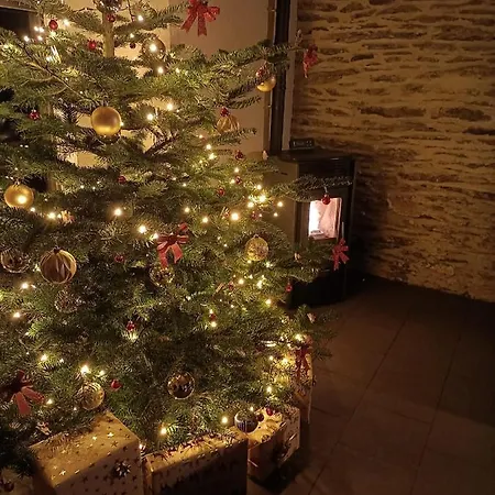 Semesterbostad 28 Court